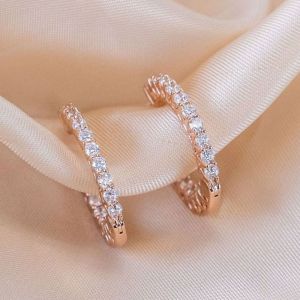 Rose Gold Round Cut Classic Hoop Earrings