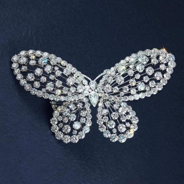 Why Did I Choose a Butterfly Brooch to Define My Everyday Style?